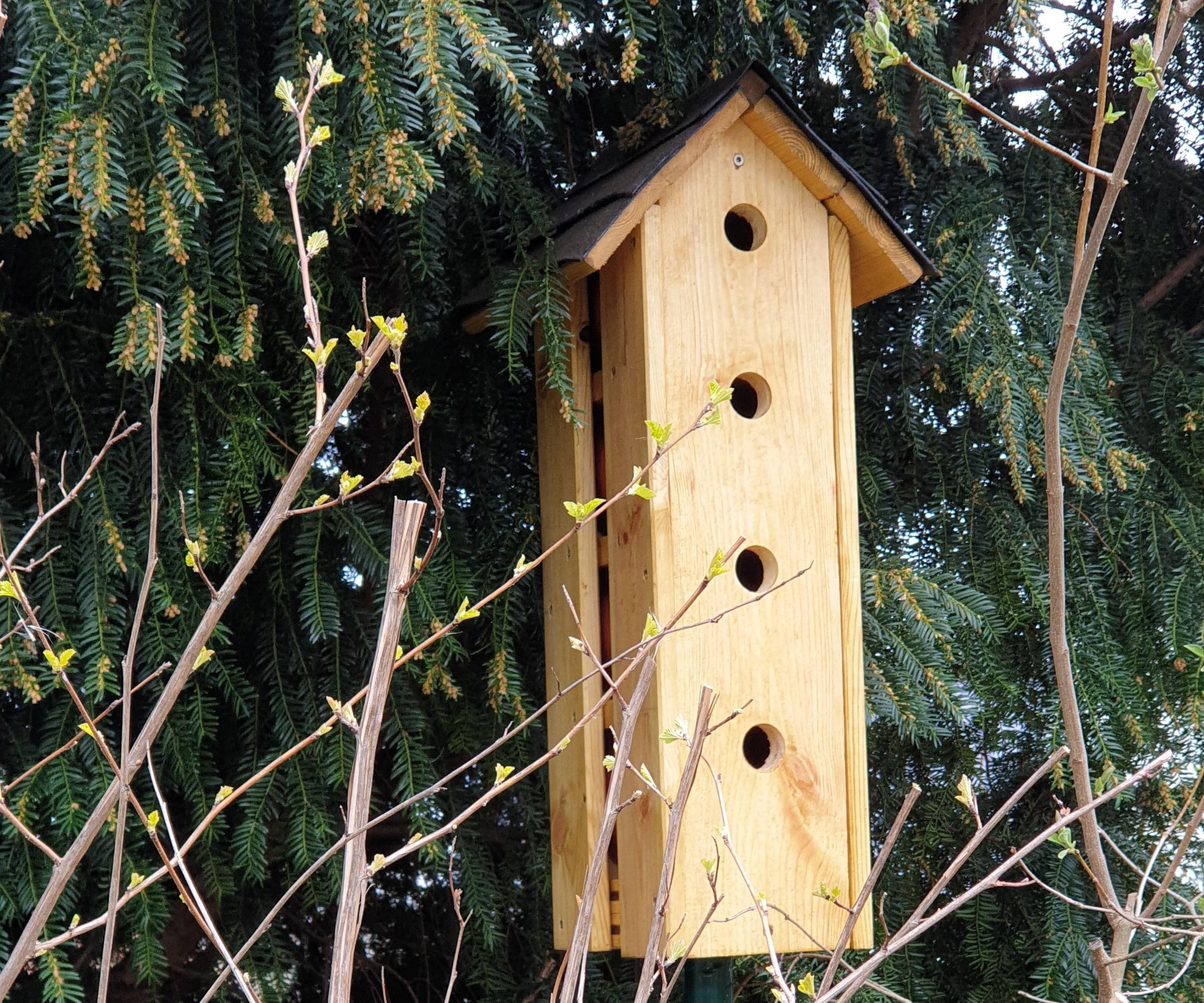 Sparrow Community House