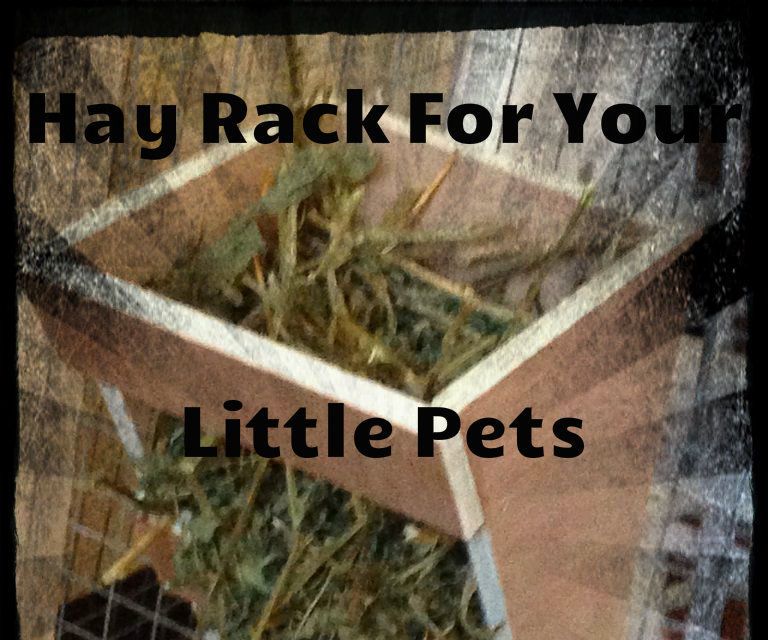 DIY Hay Rack for Little Pets