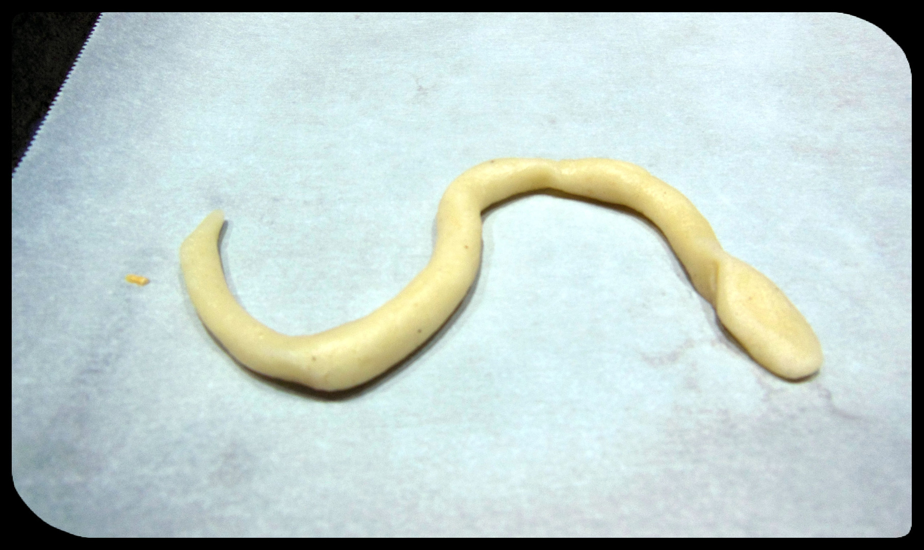 Cheese Snack Snakes That Bite Back 7 Steps (with Pictures