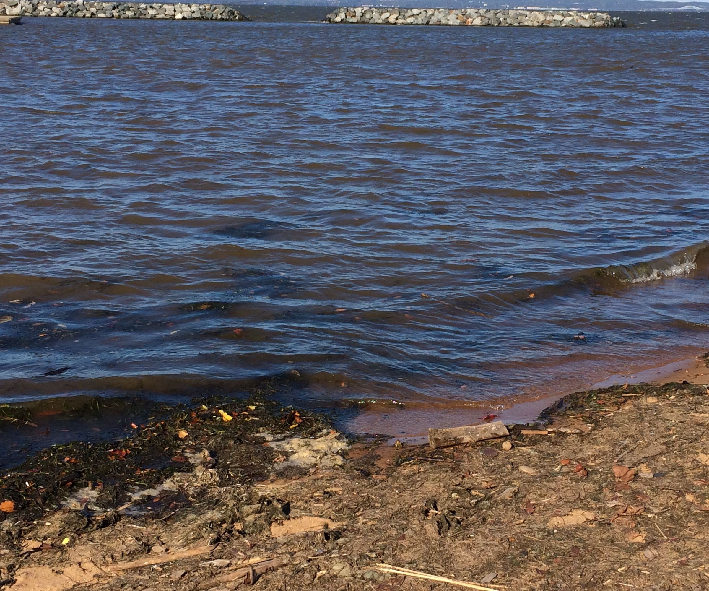 Investigating Energy Transfer in Ocean Waves