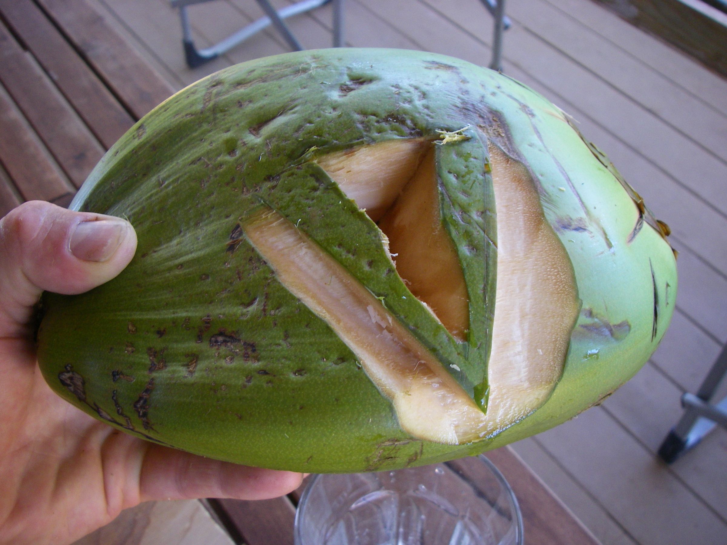 How to Open and Drink a Coconut