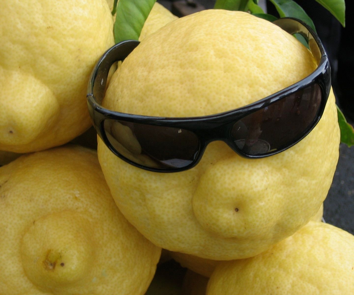 Torta Di Sorrento (Lemon Drizzle) and the Science Behind It 