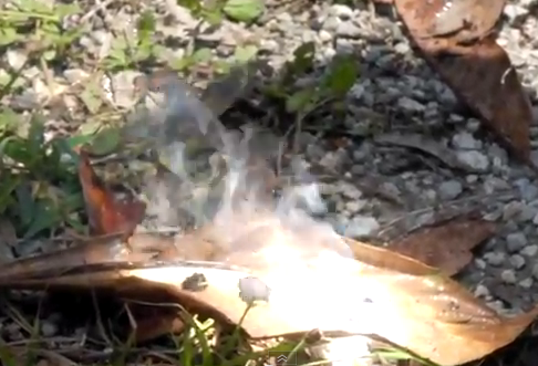 DIYsolar Lens AQUA LENS How to Start a FIRE PLASTIC WRAP