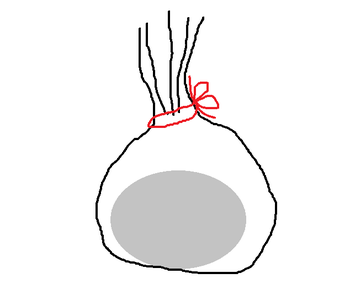 Projectiles