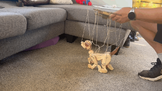 Playing With Your Puppy