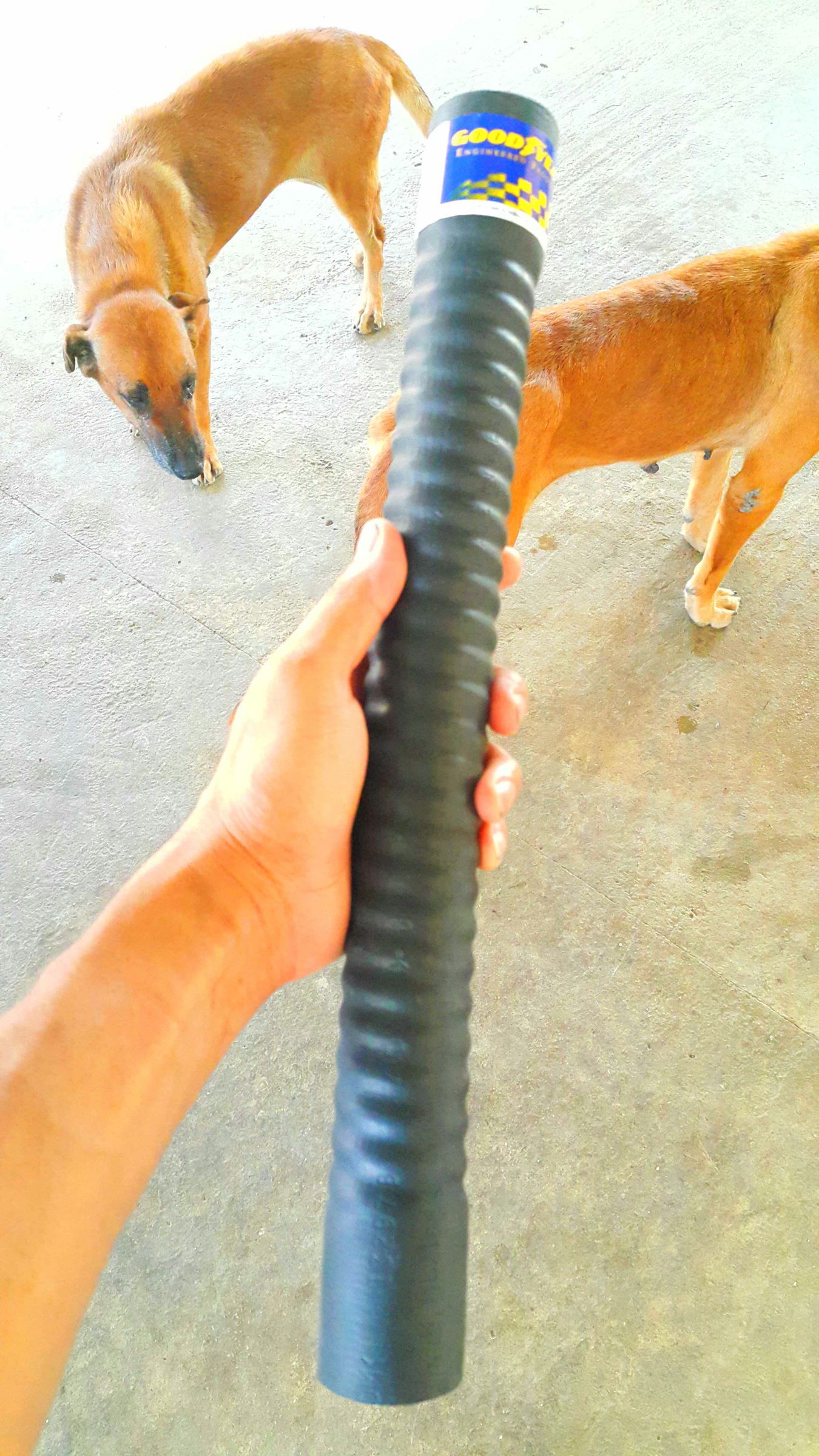 Replacing an Upper Radiator Hose (Hyundai Trajet)