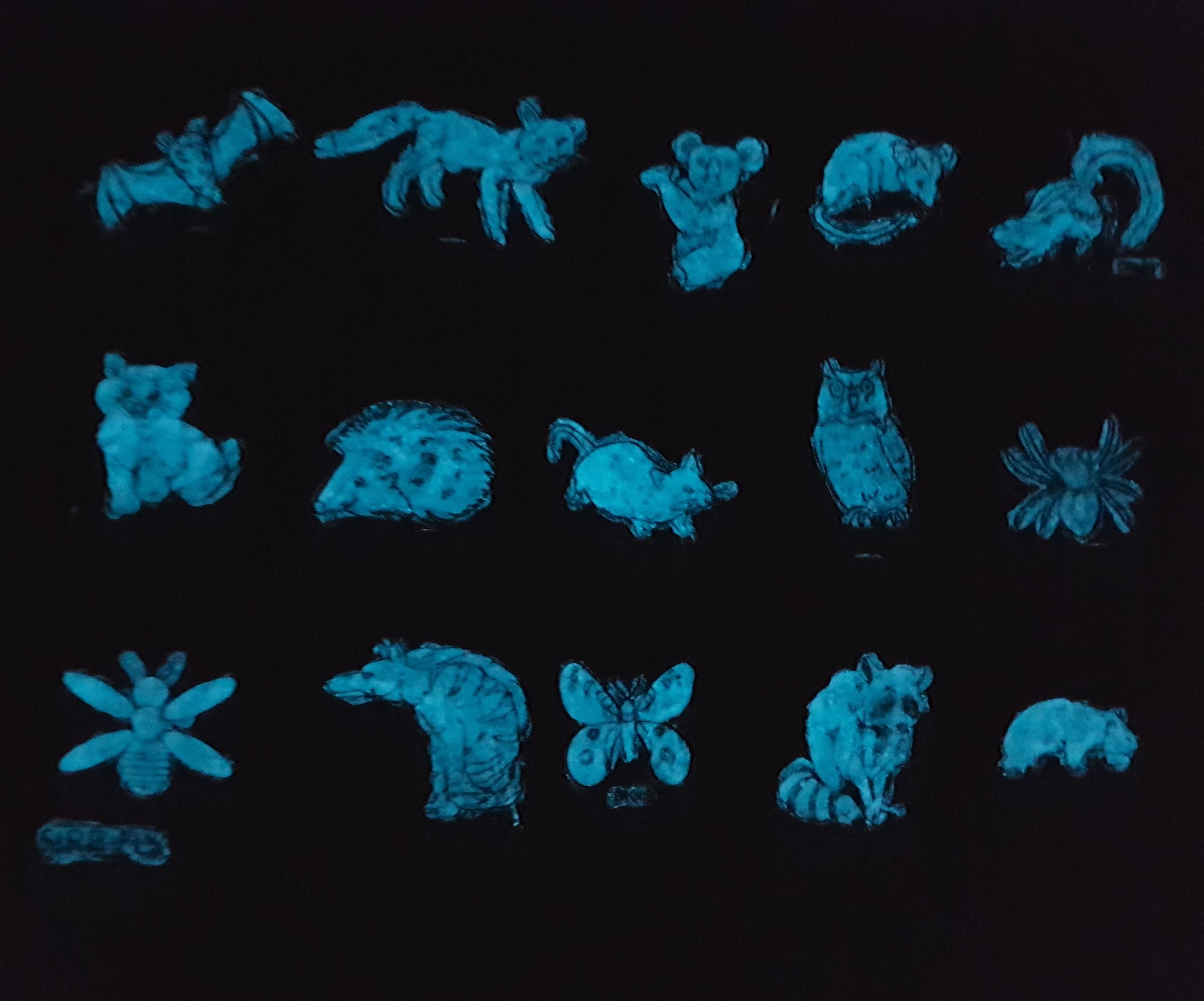 Night Animals -A Fun Way of Introducing Them to Children