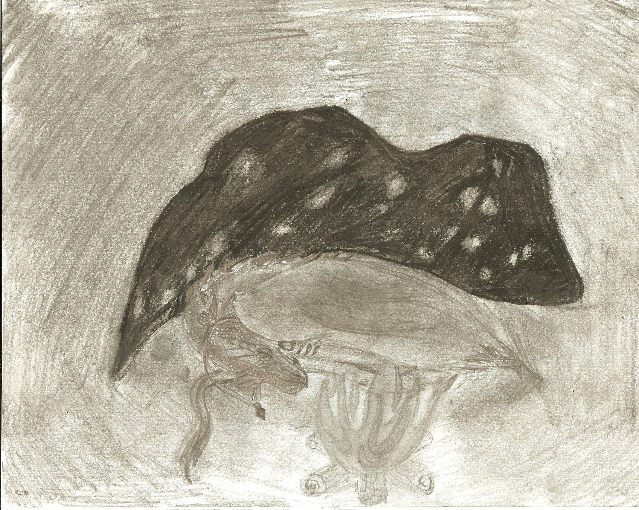 MY ART