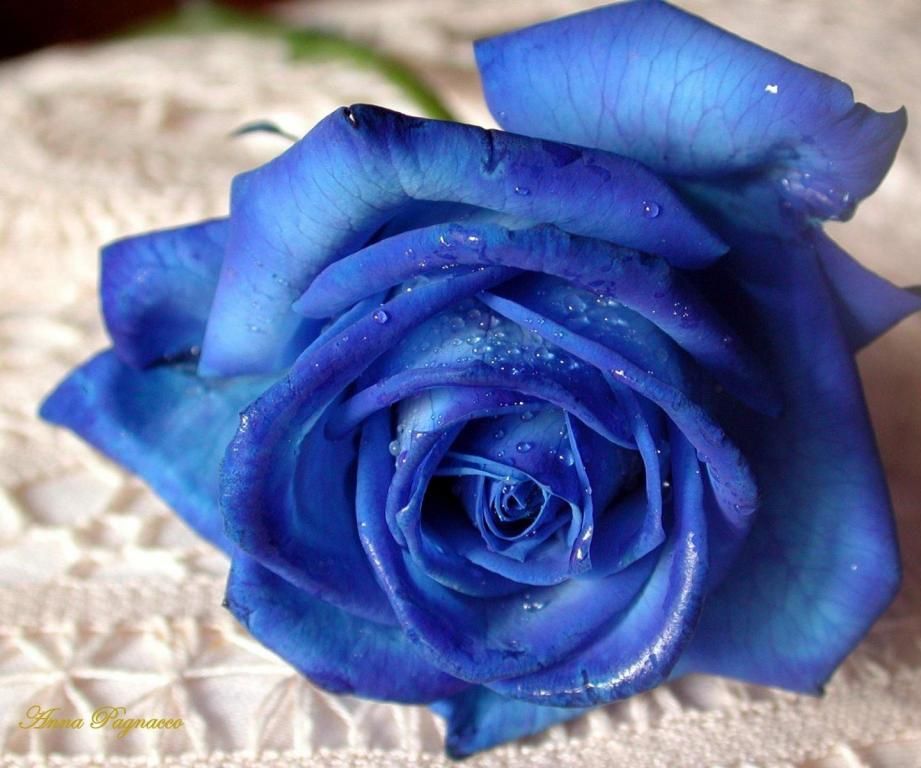 Thuật Ngữ Tiếng Anh Marketing