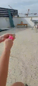 Have Fun!