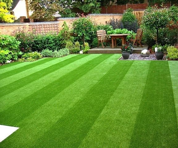 How to Seed a Lawn