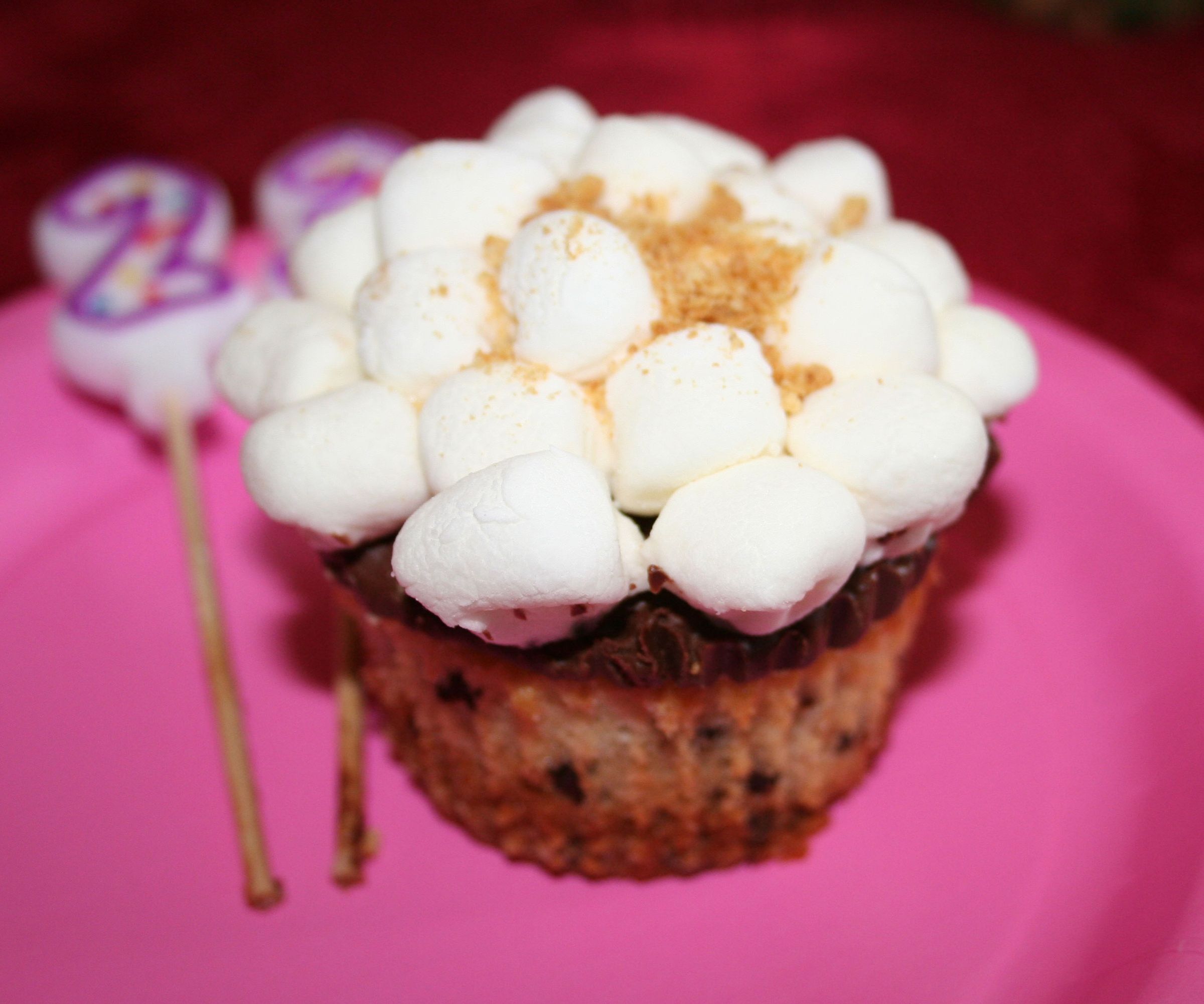 S'mores Cupcakes!