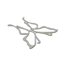 download {{ file.name }}