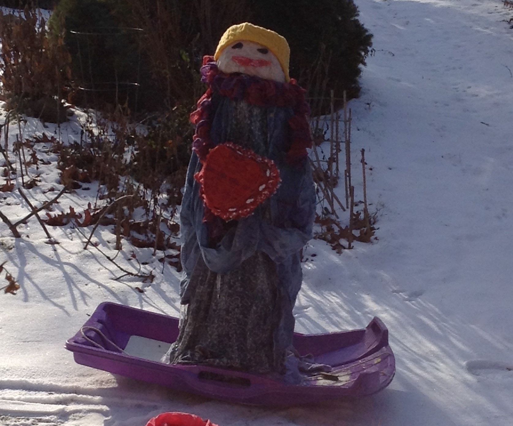 Not Enough Snow, Valentine