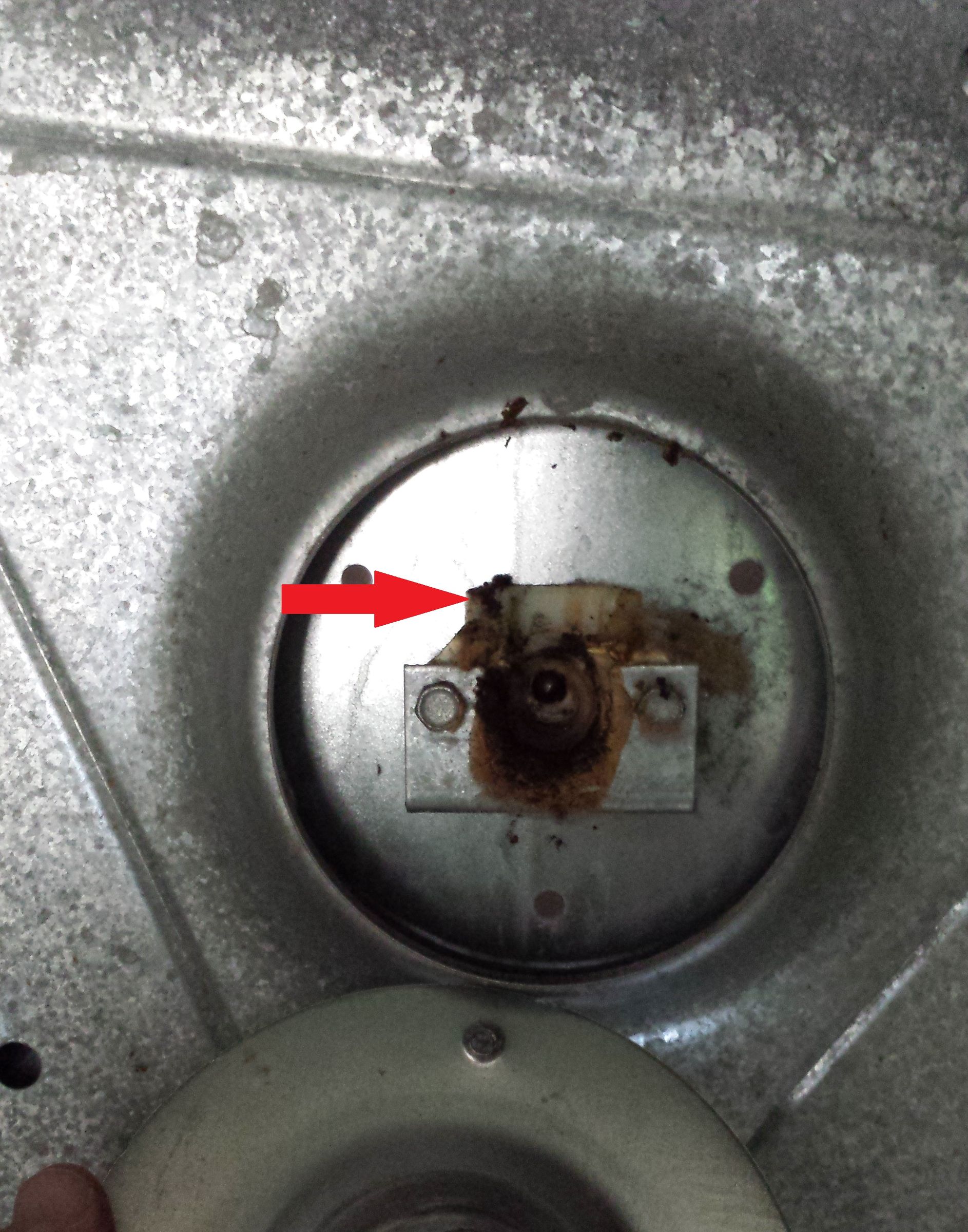 How to Fix a Squeaky Dryer 11 Steps (with Pictures) Instructables