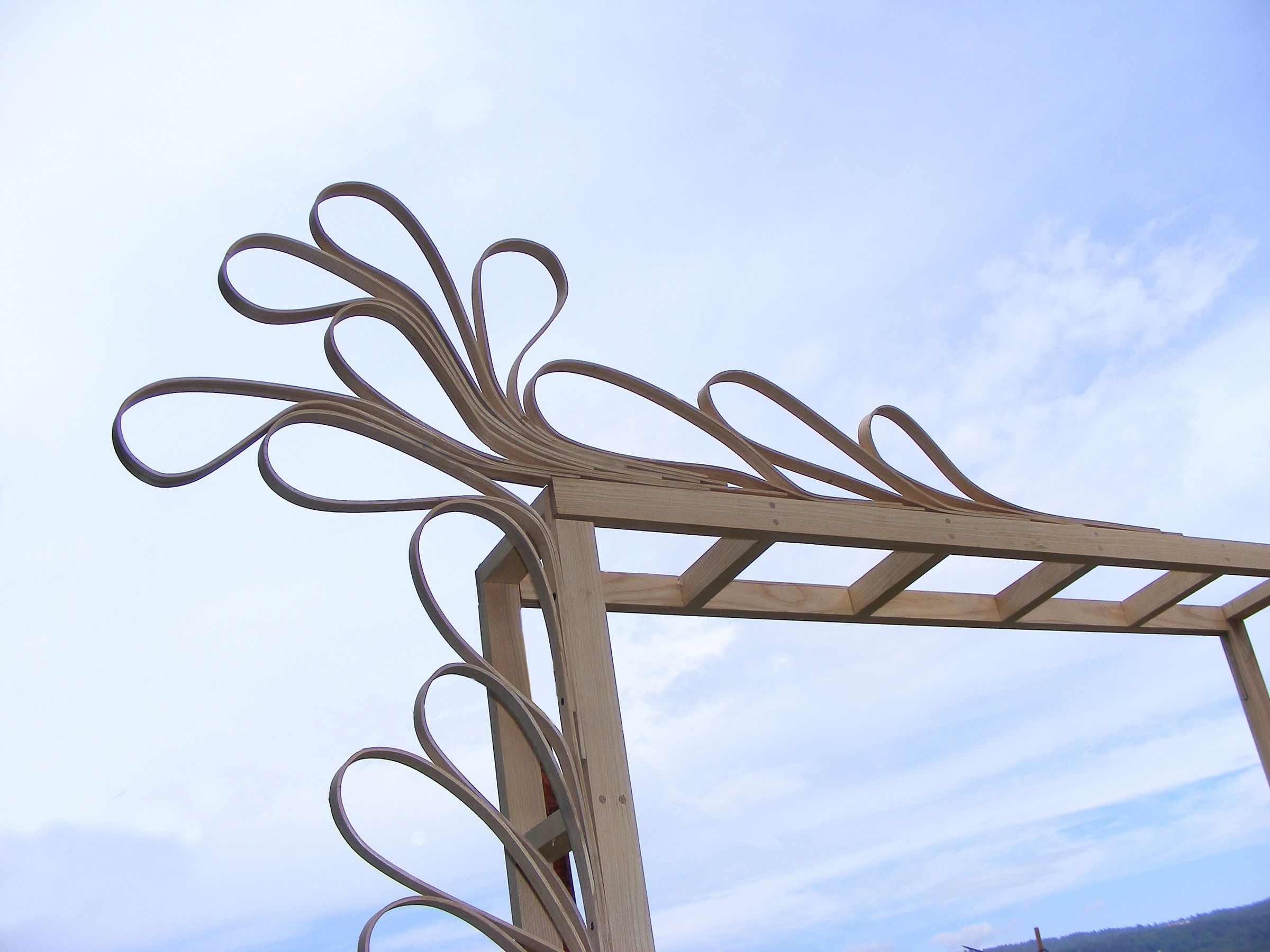 Wedding Arch With Steam Bent Wood .