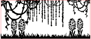 Outer Engraving Images (optional)