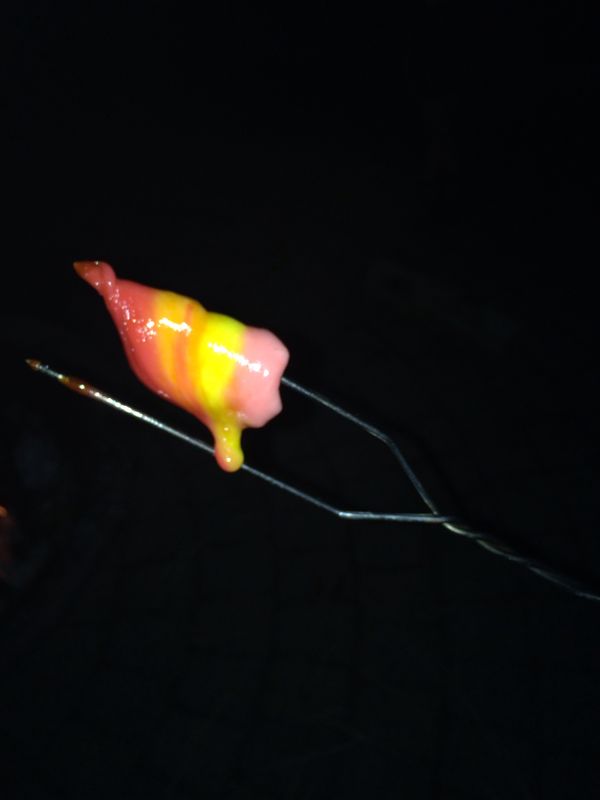 Campfire Roasted Starbursts