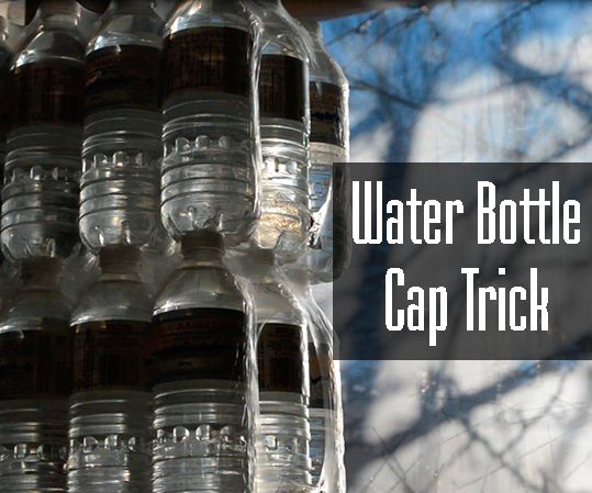 Water Bottle Cap Trick