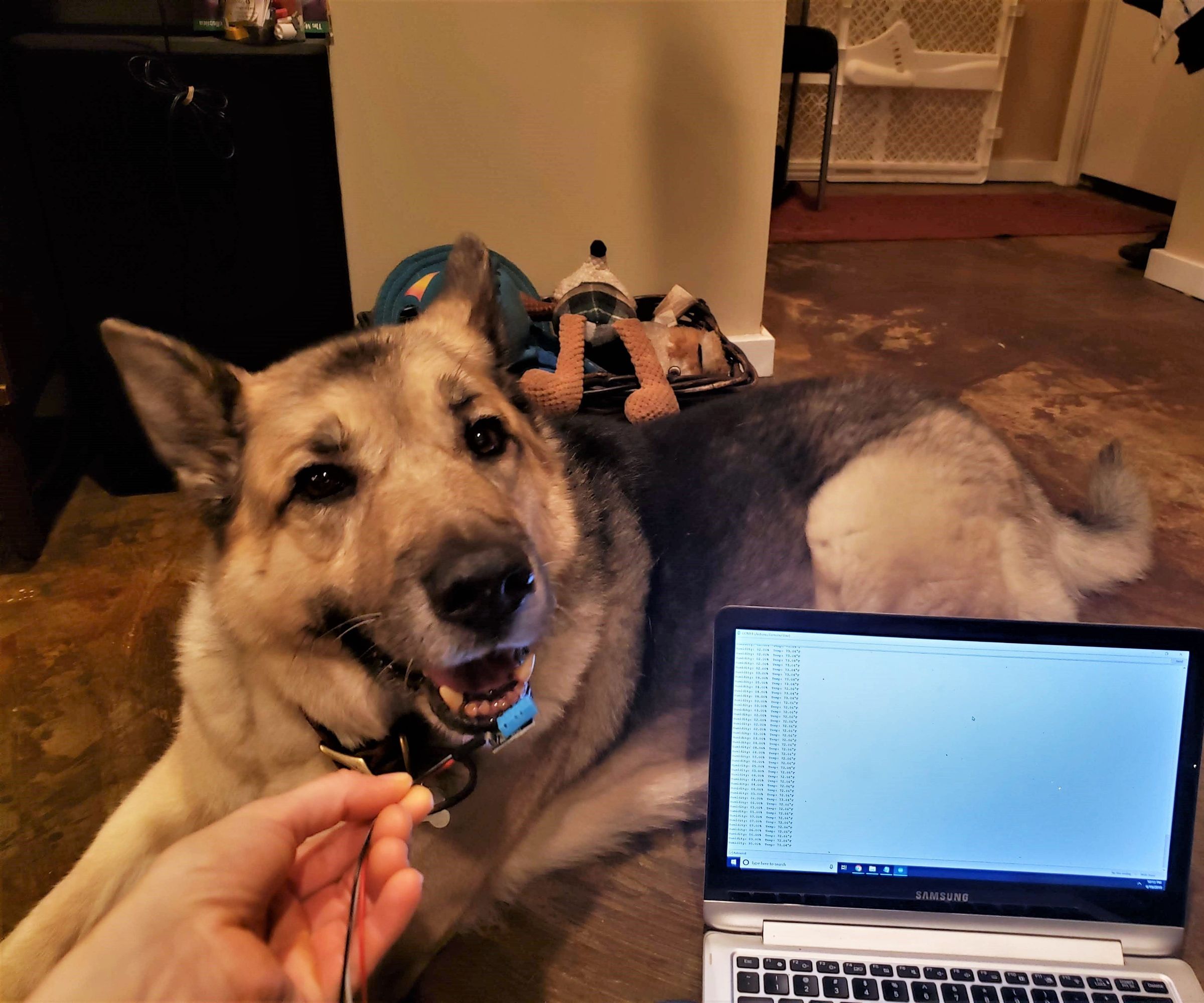 Using Arduino for Citizen Science!