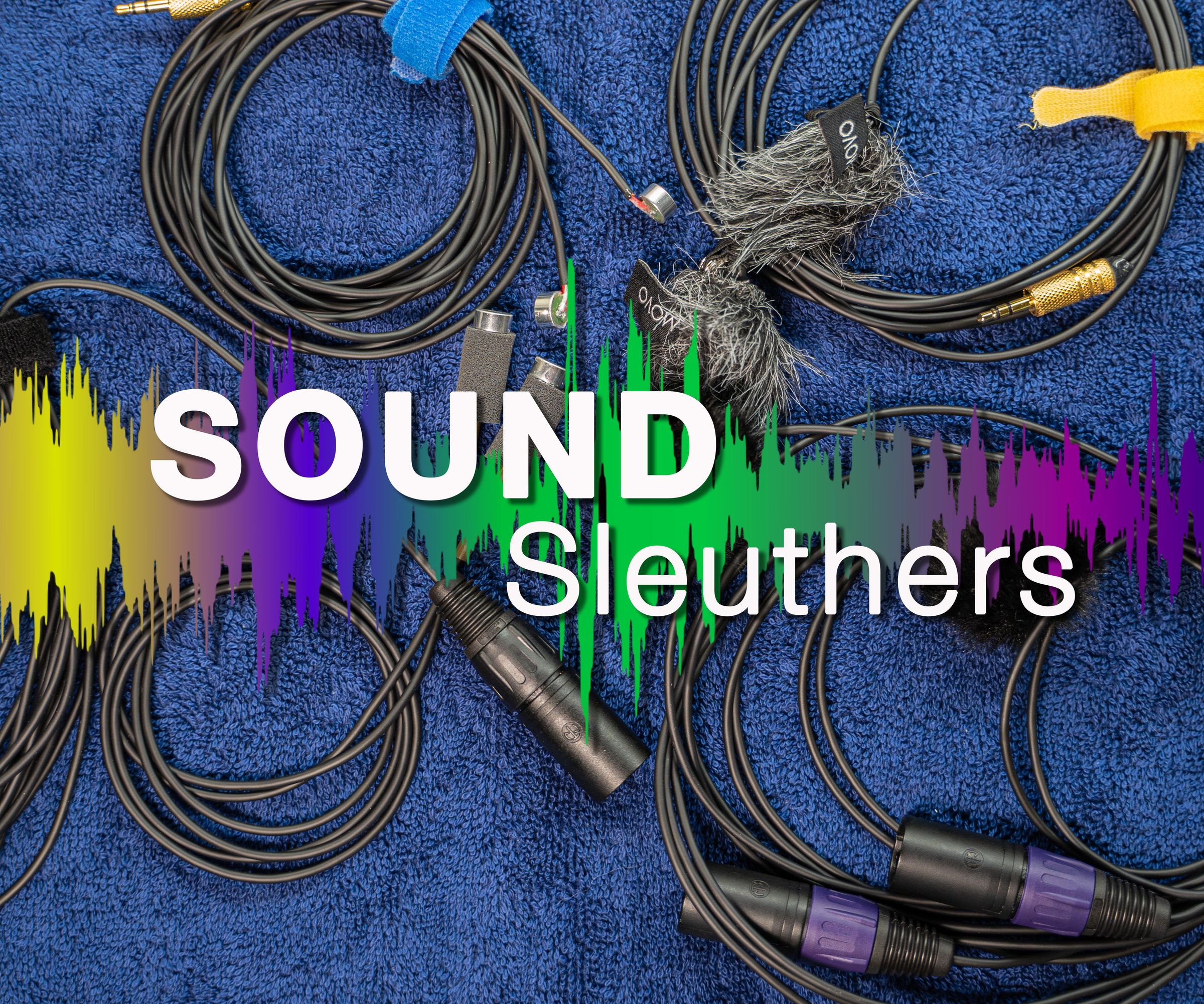 The Sound Sleuthers