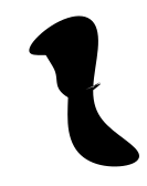 Designing the Head