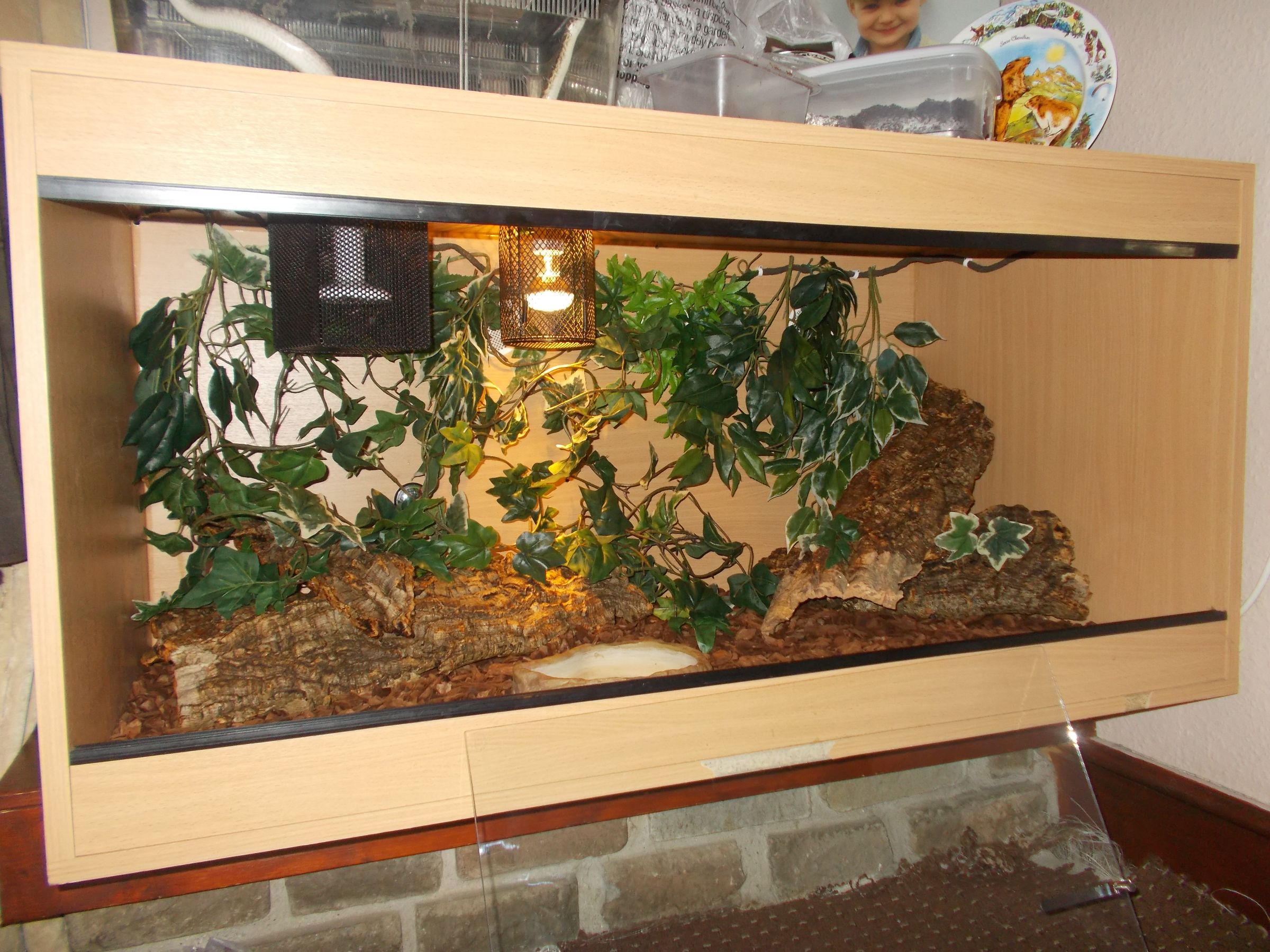 How to Setup a Snake Viv 13 Steps Instructables