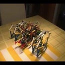 The Making of the Silver Species