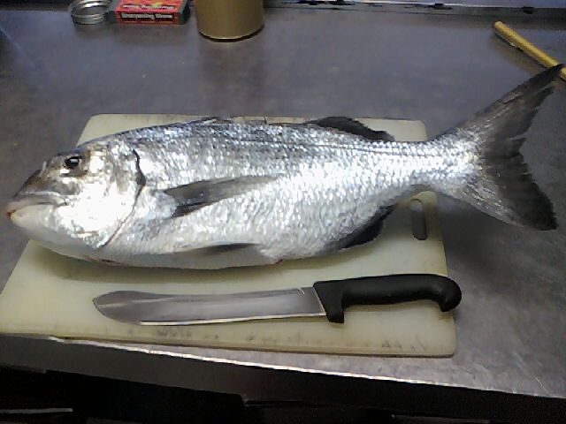 Filleting a Fish