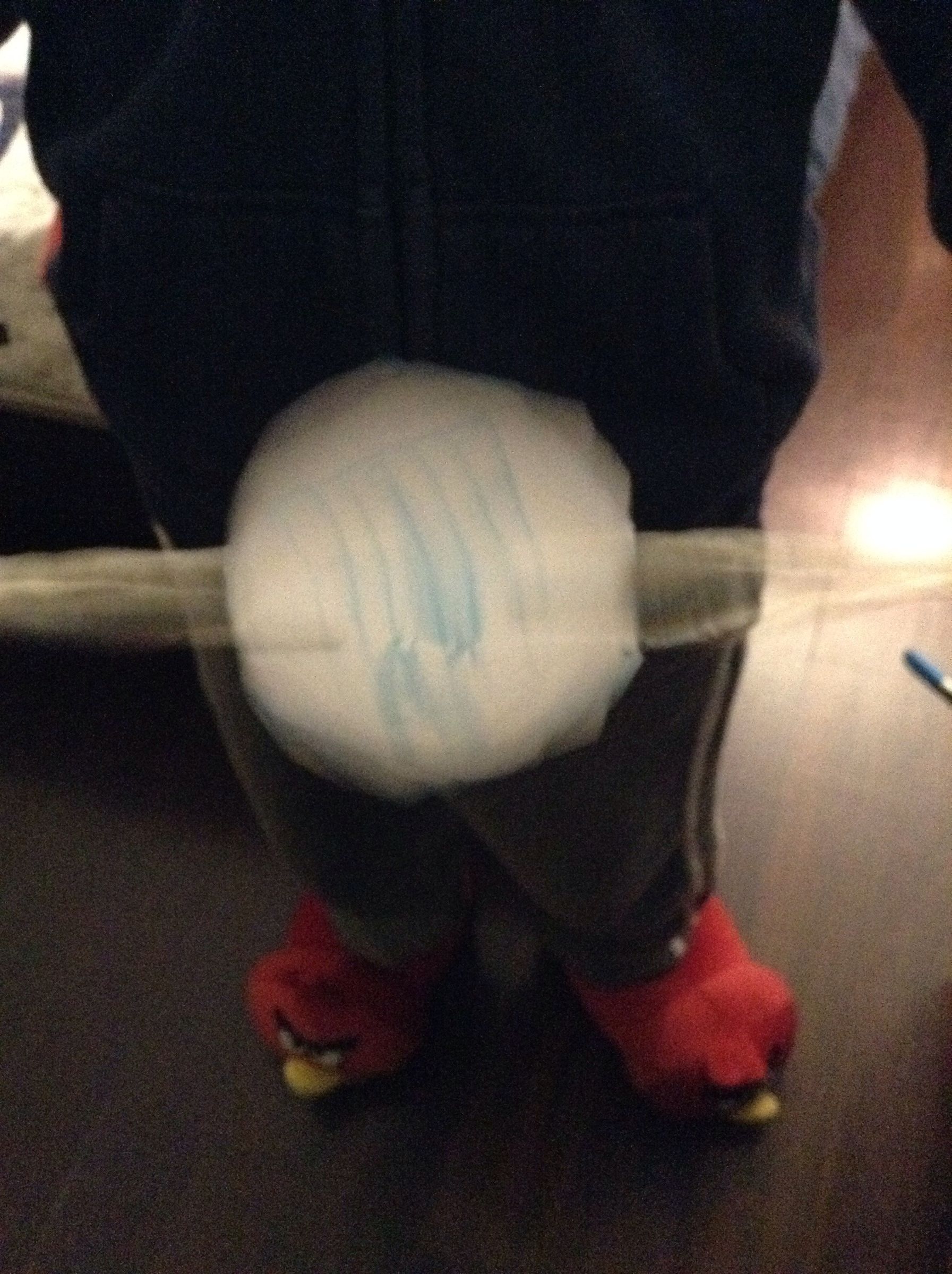 How To Make A Bird In A Cage