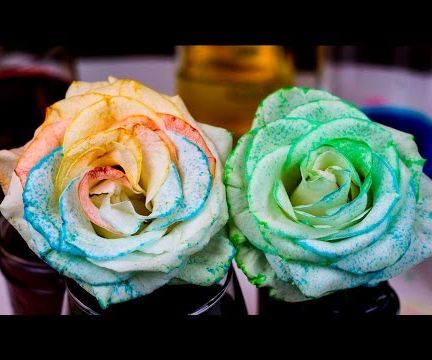 How to Tie Dye Flowers with Osmosis