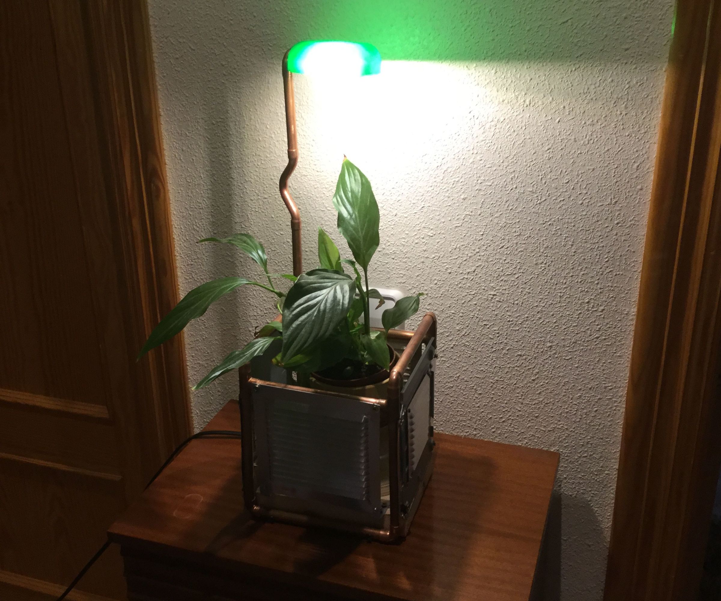 Steampunk Lamp Planter