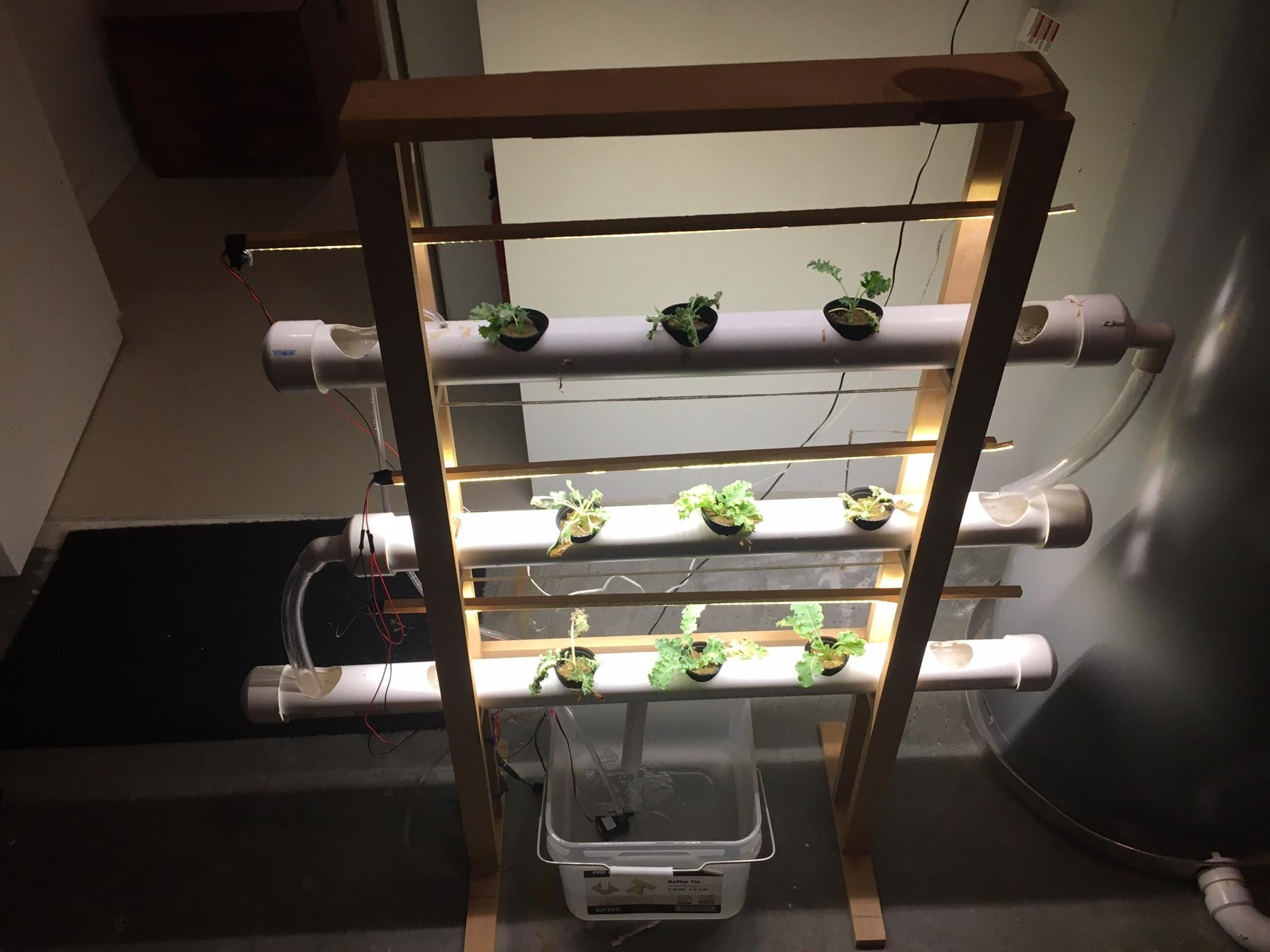 Hydroponic Garden