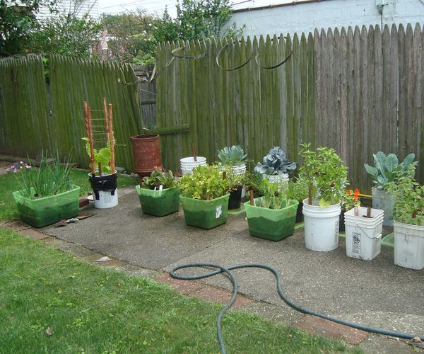 How to Grow Your Own Food!