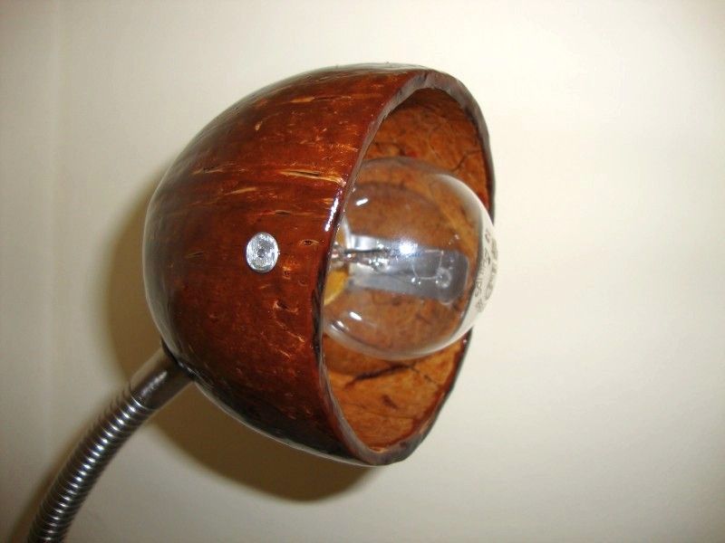Luminaria De Coco / Coconut Desk Lamp