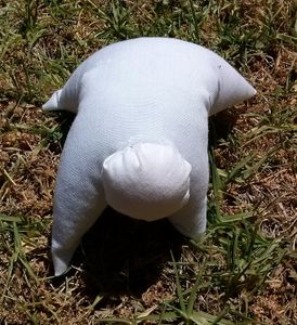 Paint a Calico Creature