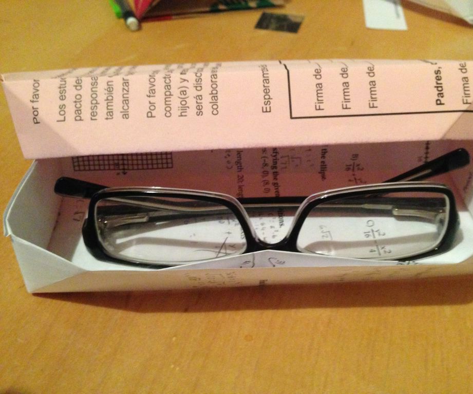 That Origami Paper Glasses Case Doe