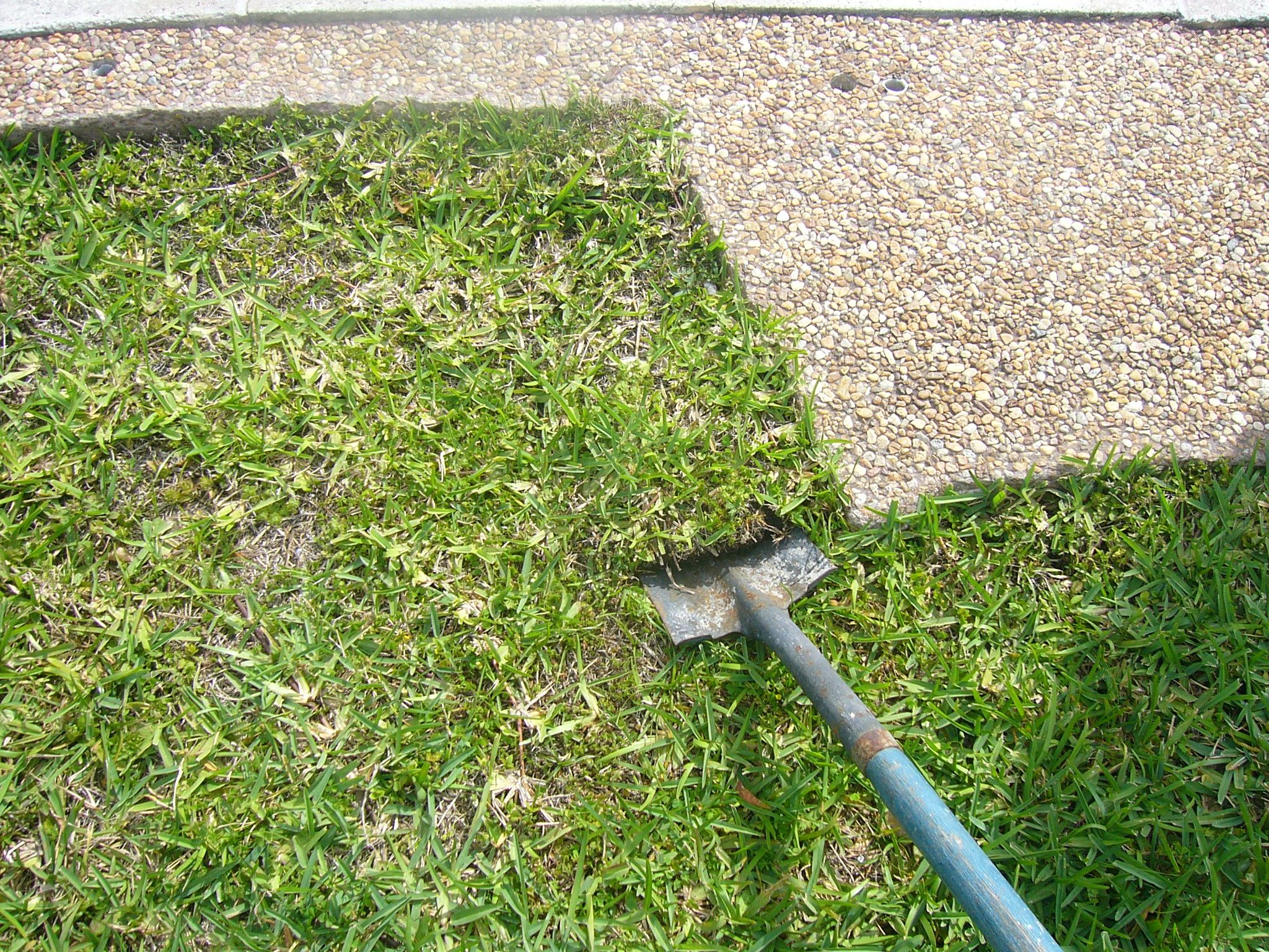 Dirt Garden 14 Steps (with Pictures) Instructables