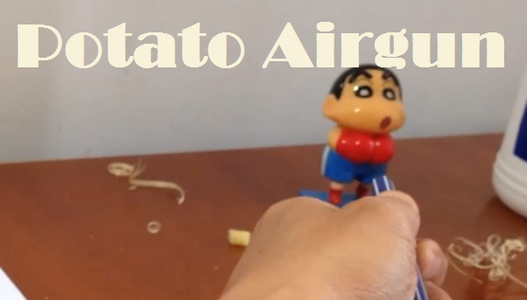 Potato AirGun