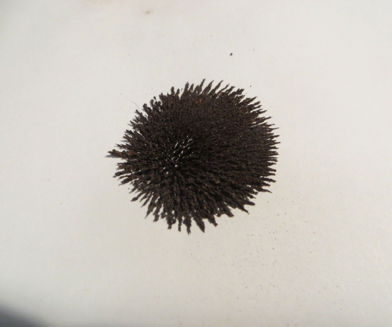 A Simple Protocol for Making Iron(II, III) Oxide (magnetite)