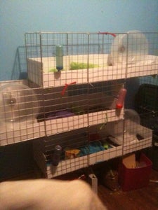 Additional C&C Cage Photos