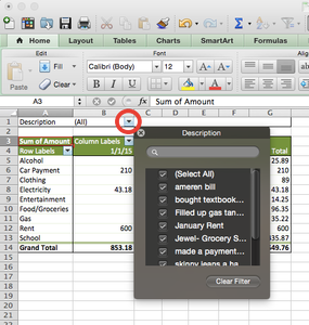 Report Filter - PivotTable Builder 