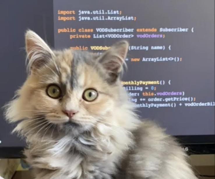 Make Your Fridge PURRfect