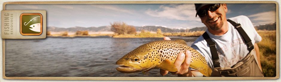 HOW TO FISH