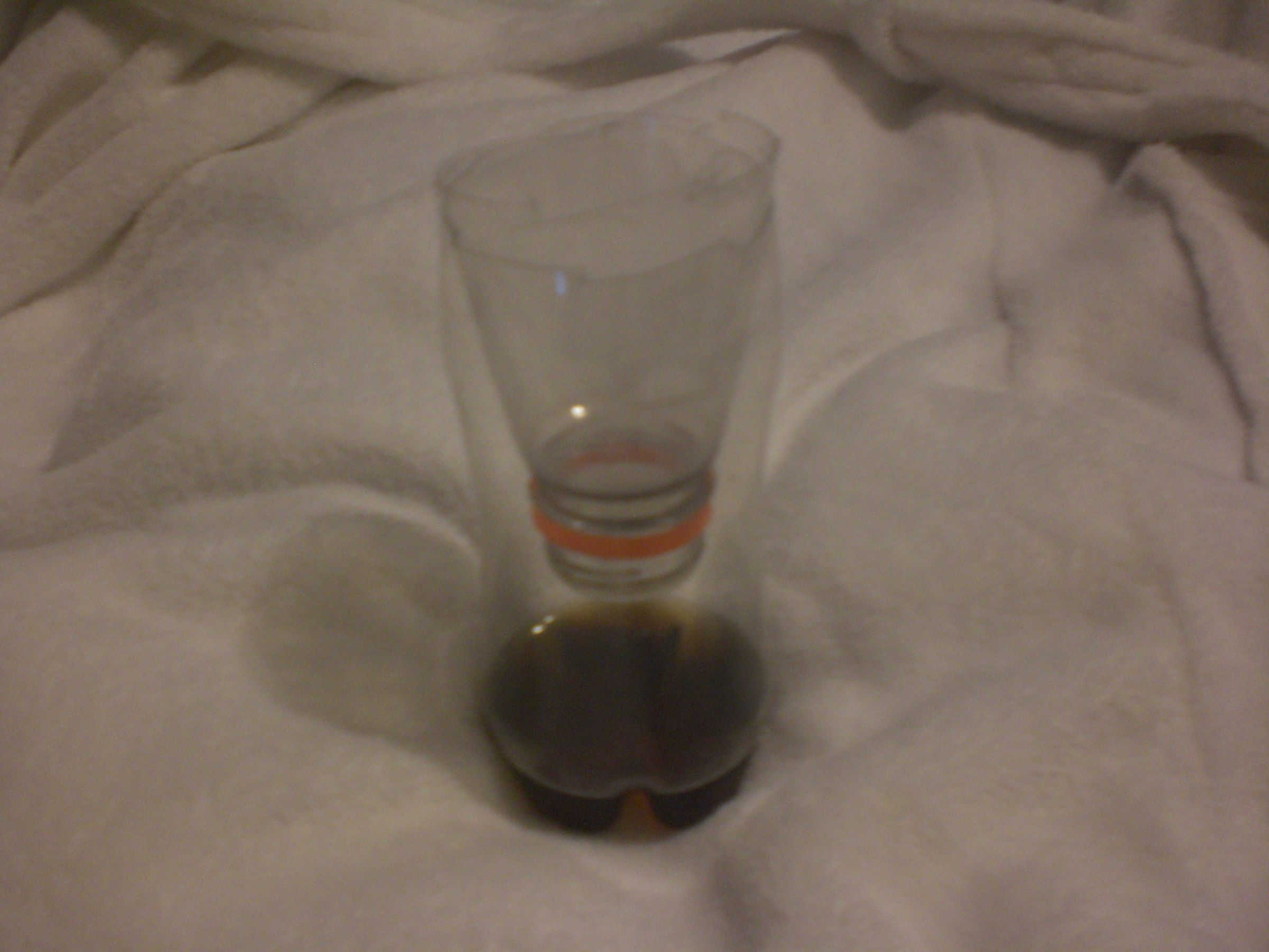 How to Make a Simple Fly Trap