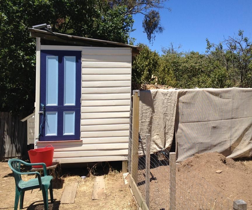 Chook (Henhouse) With Automatic Door