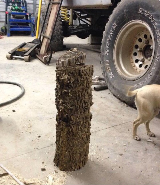 Repurpose a Log Into a Geocache Container and How to Hide One