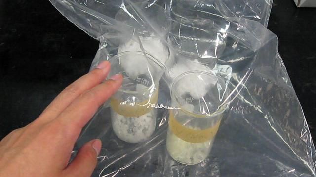 How to Make a Desiccator Bag