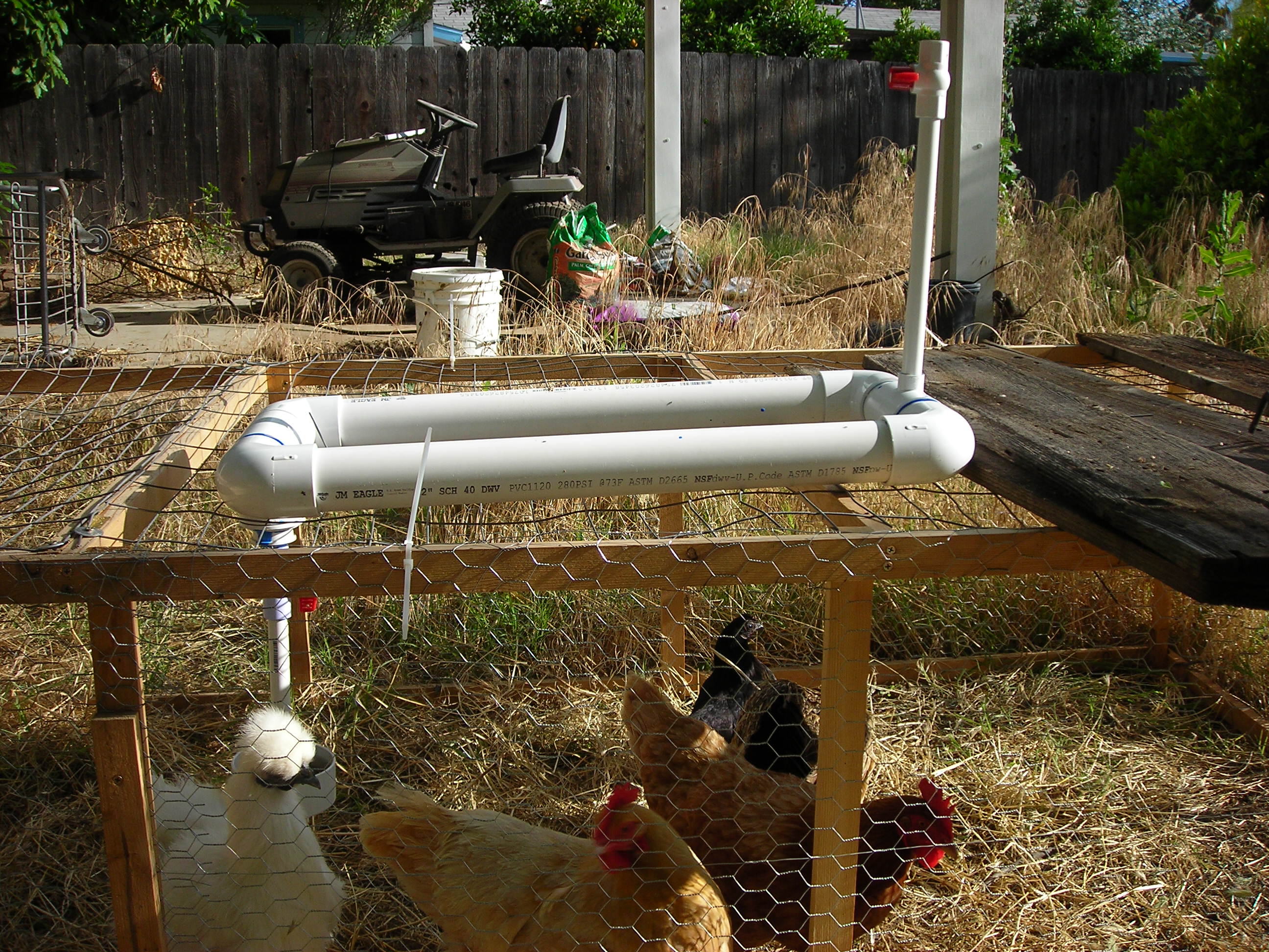 Water dispenser for chickens