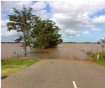 Avoid Water Backup and Protect Your Home From Water Damage